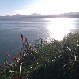 2012-10-27 15.03.00.jpg